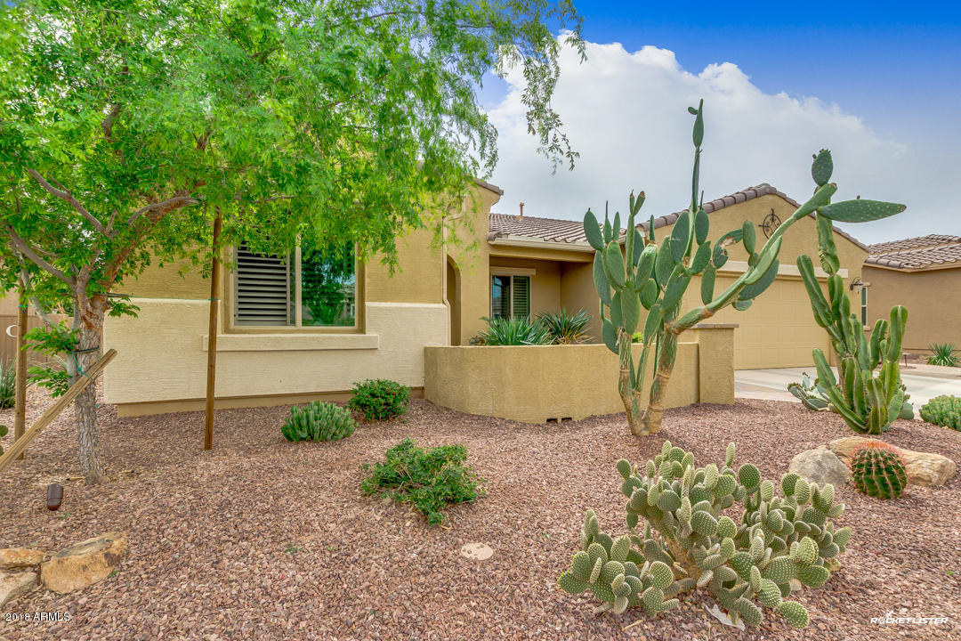 42181 West Rummy Road Maricopa, AZ 85138 - Photo 4 of 40 04-Rummy