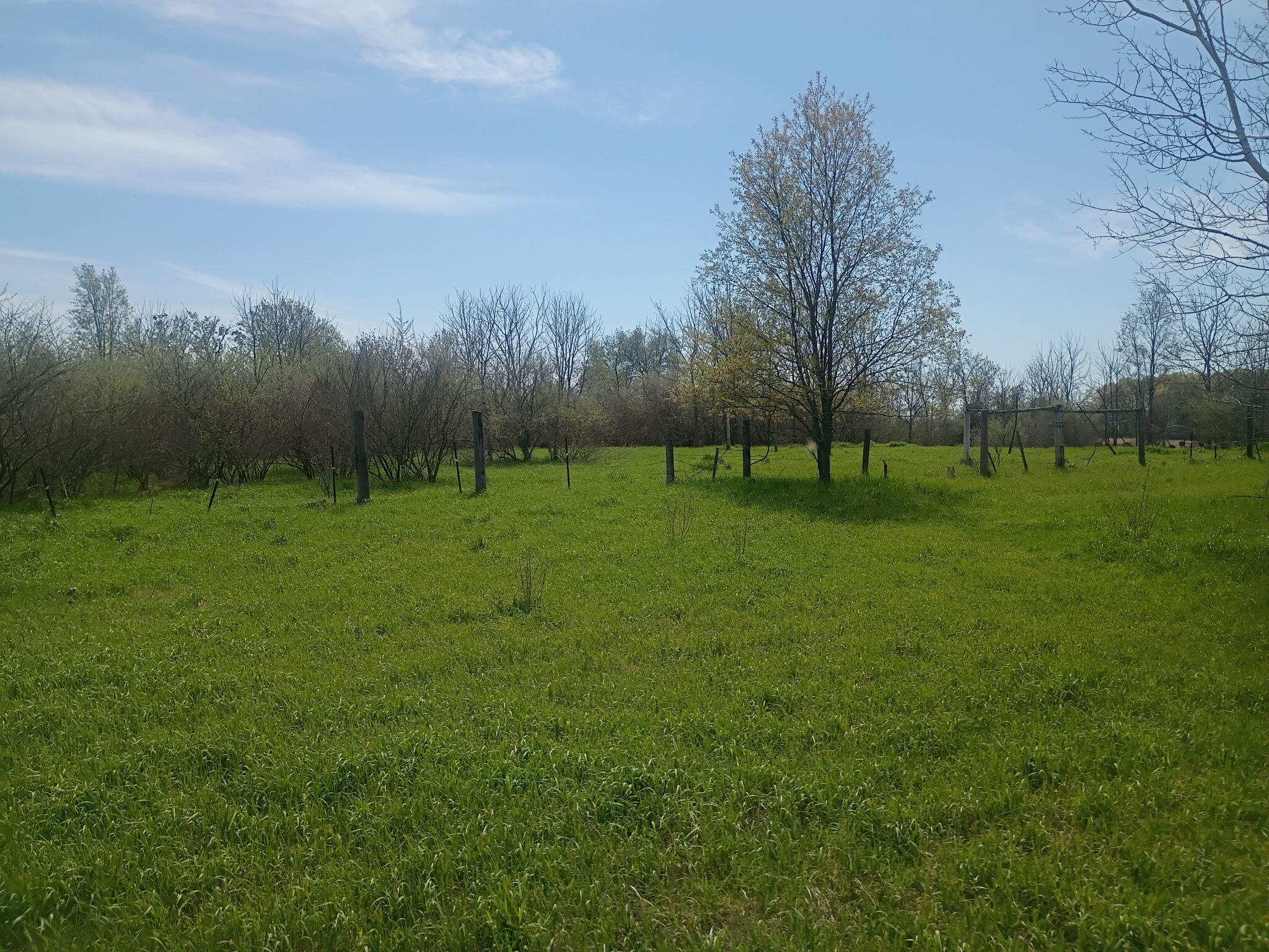 7015 East Harrison Road Walkerville, MI 49459 - Photo 13 of 23 IMG_20260530_145742 (1)