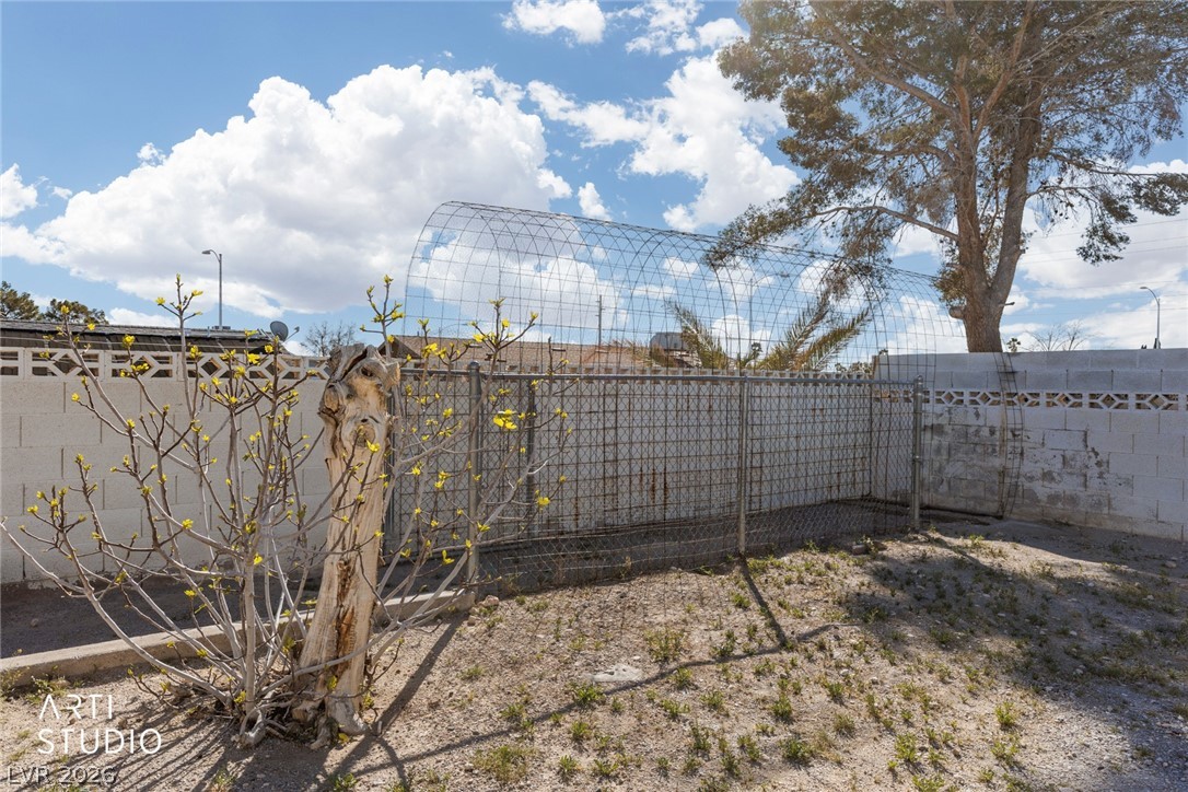 105 North Cimarron Road Las Vegas, NV 89145 - Photo 27 of 33 fig tree produces fruit in season