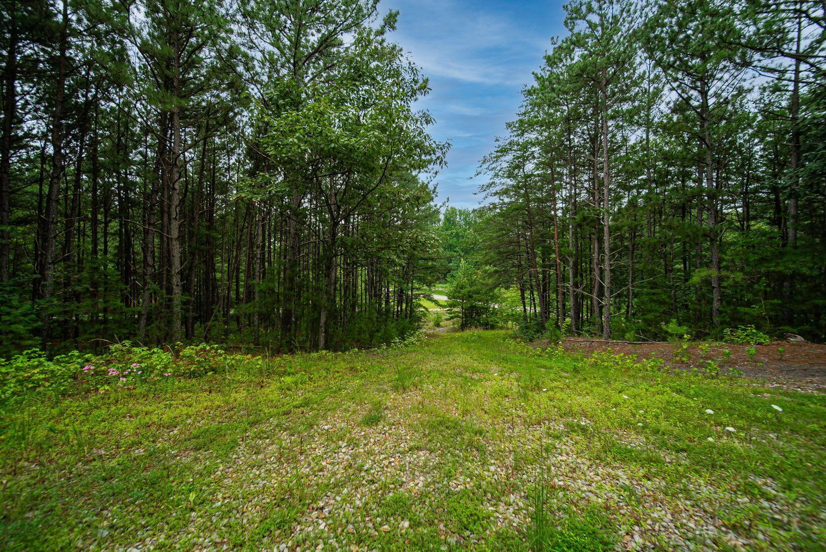 9758 Wesley Chapel Road Mount Perry, OH 43760 - Photo 13 of 43 7-web-or-mls-Todd Burns - 9758 Wesley Ch