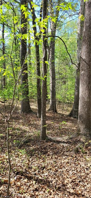 1642 Kersey Valley Road Archdale, NC 27263 - Photo 5 of 34