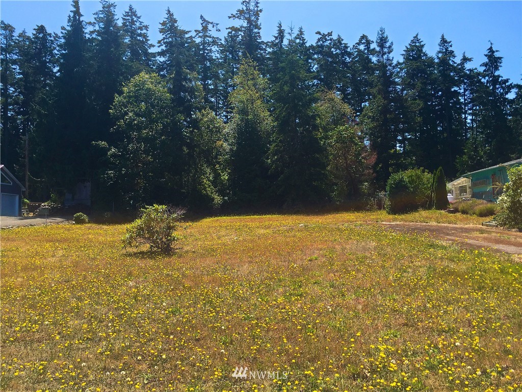 141 Ridge Drive Port Townsend, WA 98368 - Photo 2 of 13 Gallery Image 2