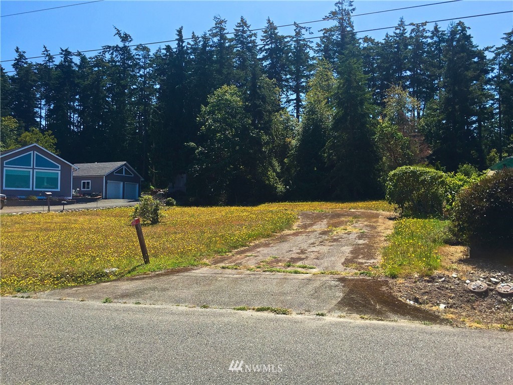 141 Ridge Drive Port Townsend, WA 98368 - Photo 3 of 13 Gallery Image 3