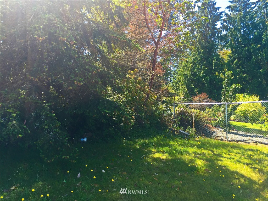 141 Ridge Drive Port Townsend, WA 98368 - Photo 6 of 13 Gallery Image 6