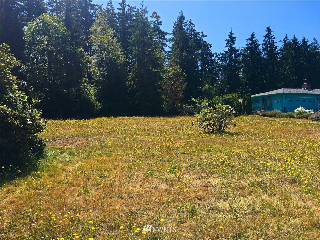 141 Ridge Drive Port Townsend, WA 98368 - Photo 9 of 13 Gallery Image 9