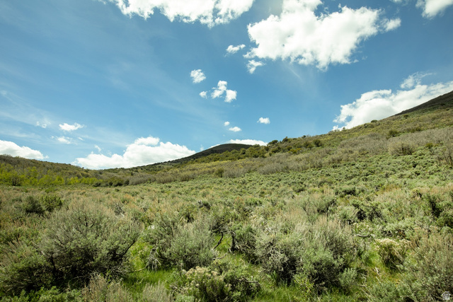 1646 North Miles Holw Road, Unit 29 Kamas, UT 84036 - Photo 19 of 35 Expansive hillside terrain featuring varied native vegetation, including sagebrush and scattered deciduous trees