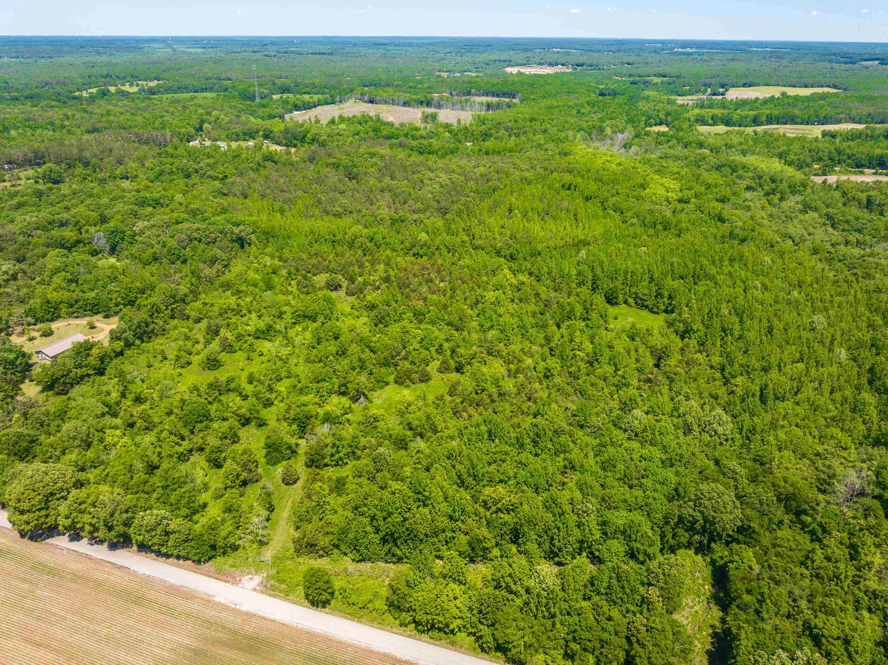 2340 Center Hill Road Finger, TN 38334 - Photo 5 of 21 a view of a green field with lots of bushes