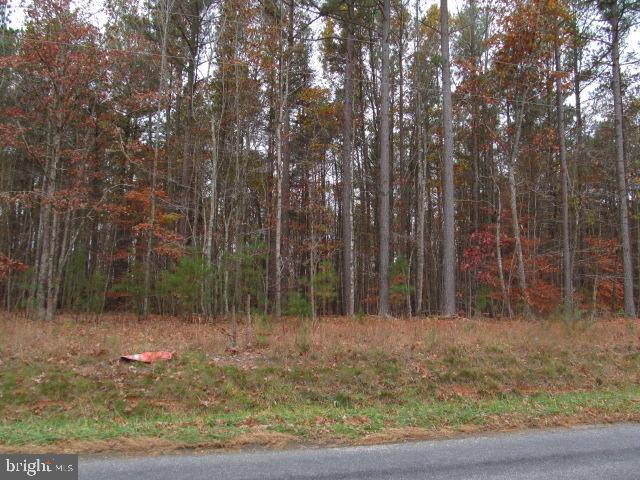0 Indiantown Road Locust Grove, VA 22508 - Photo 3 of 4 Gallery Image 3