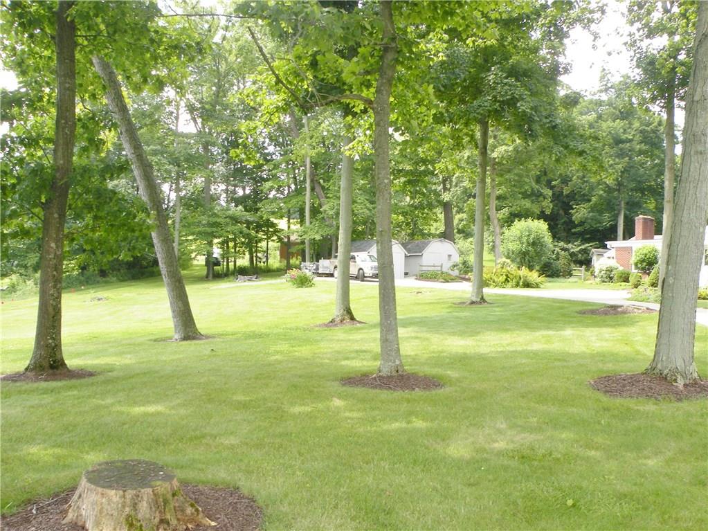 911 McClelland Road Venetia, PA 15367 - Photo 19 of 25 Yard 911 McClelland Road