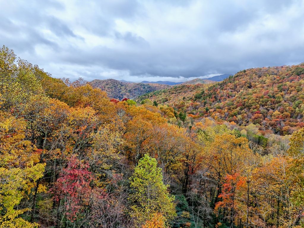 78 Natural Bridge Road Scaly Mountain, NC 28775 - Photo 40 of 51 Gallery Image 40