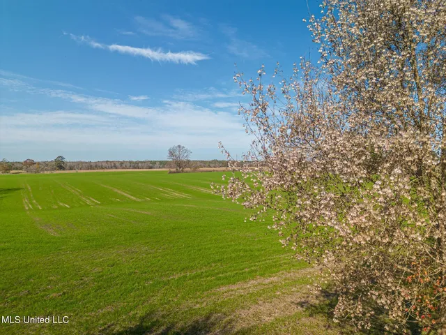 $159,000 | Tbd Oil Well Road, Wiggins, MS 39577