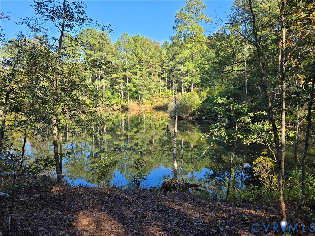 2198 Old Church Road Mechanicsville, VA 23111 - Photo 11 of 50 Water view with a heavily wooded area