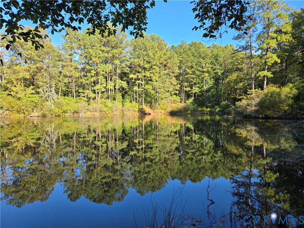 2198 Old Church Road Mechanicsville, VA 23111 - Photo 12 of 50 Water view featuring a heavily wooded area
