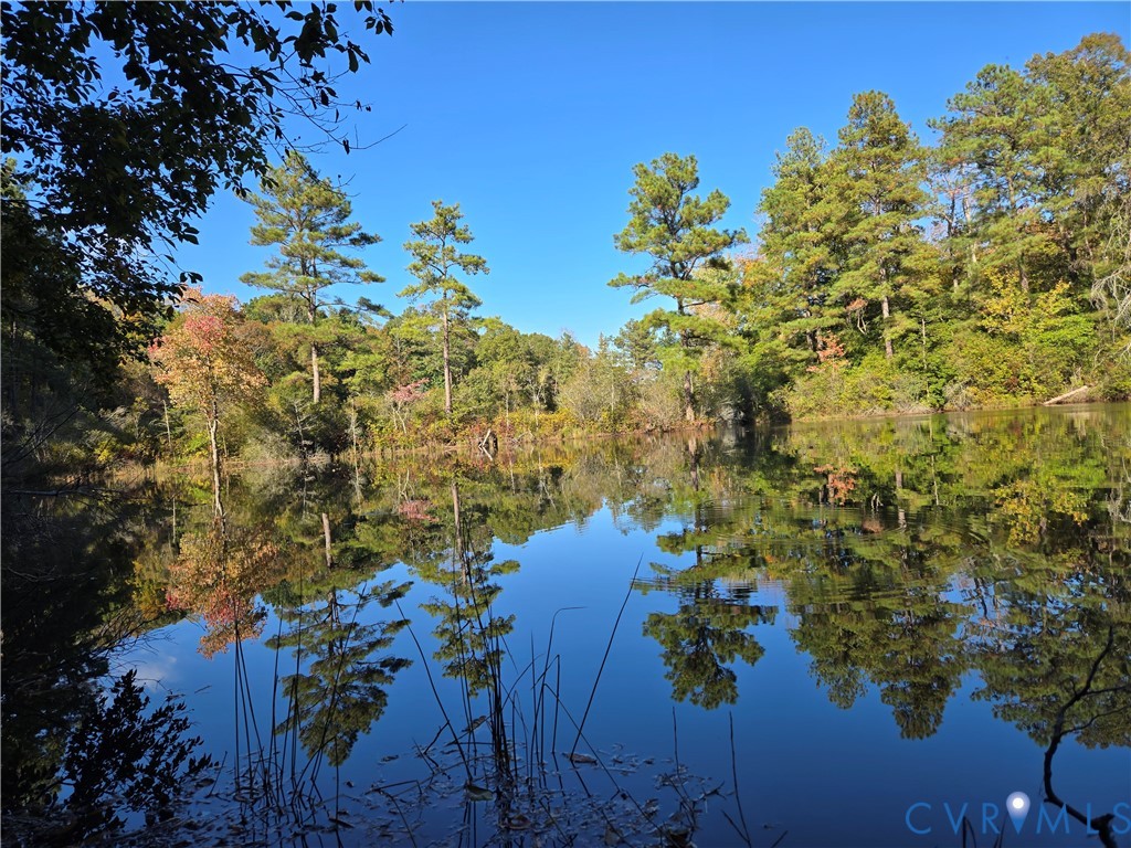 2198 Old Church Road Mechanicsville, VA 23111 - Photo 13 of 50 Water view featuring a heavily wooded area