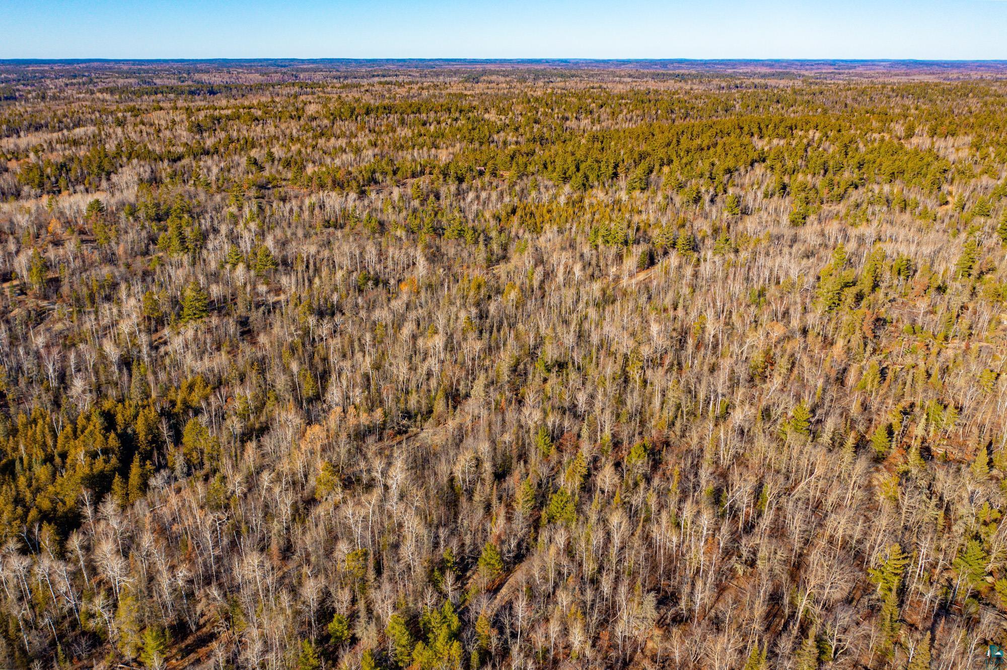 Tbd Hanson Road Ely, MN 55731 - Photo 5 of 10 Gallery Image 5