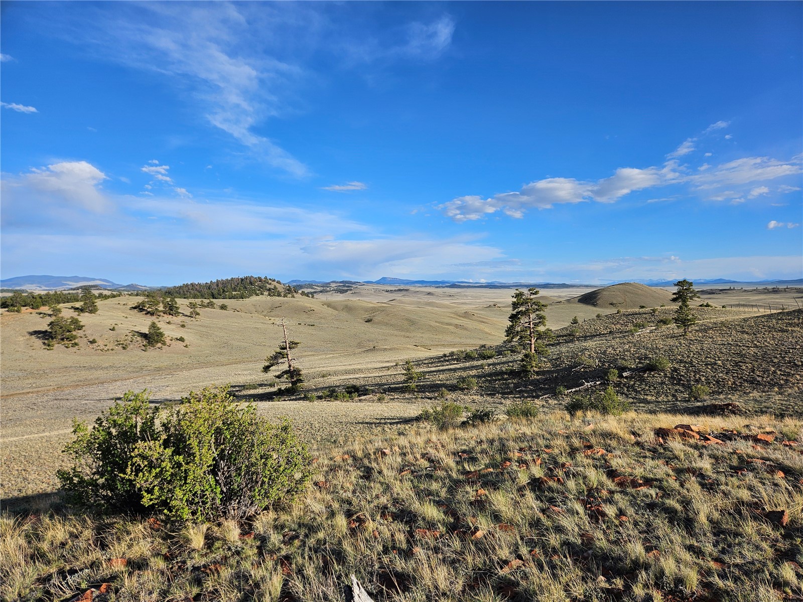Pcs#24142 Antero Road Hartsel, CO 80449 - Photo 27 of 50