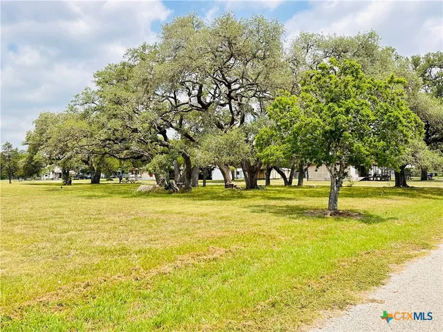 a view of swimming pool with trees