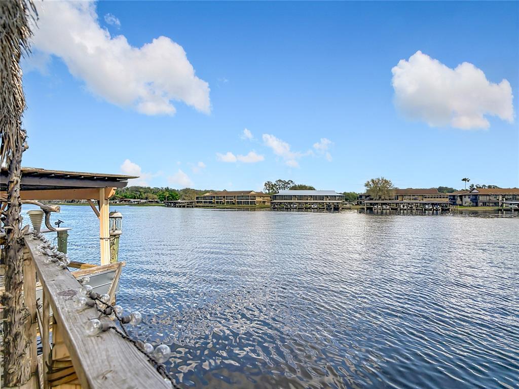 24545 Snail Road Astor, FL 32102 - Photo 49 of 61