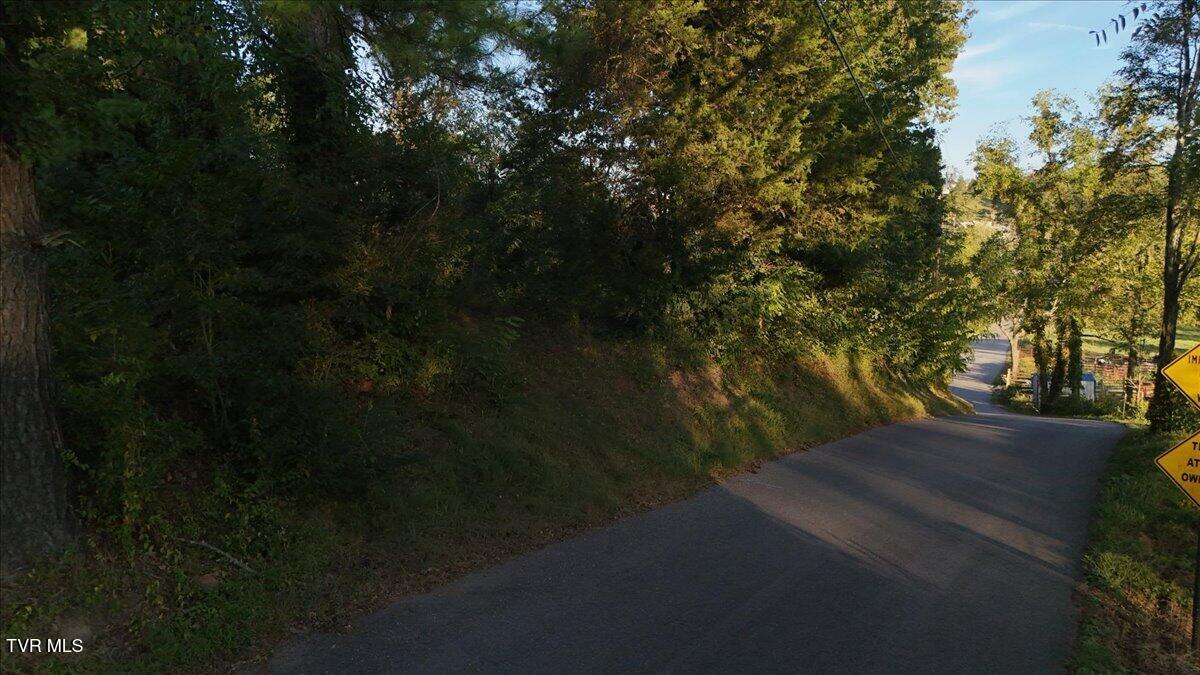 110 Cox Road Gray, TN 37615 - Photo 1 of 8 Road View