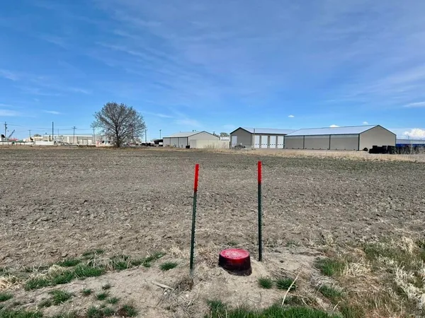 a view of a dry yard