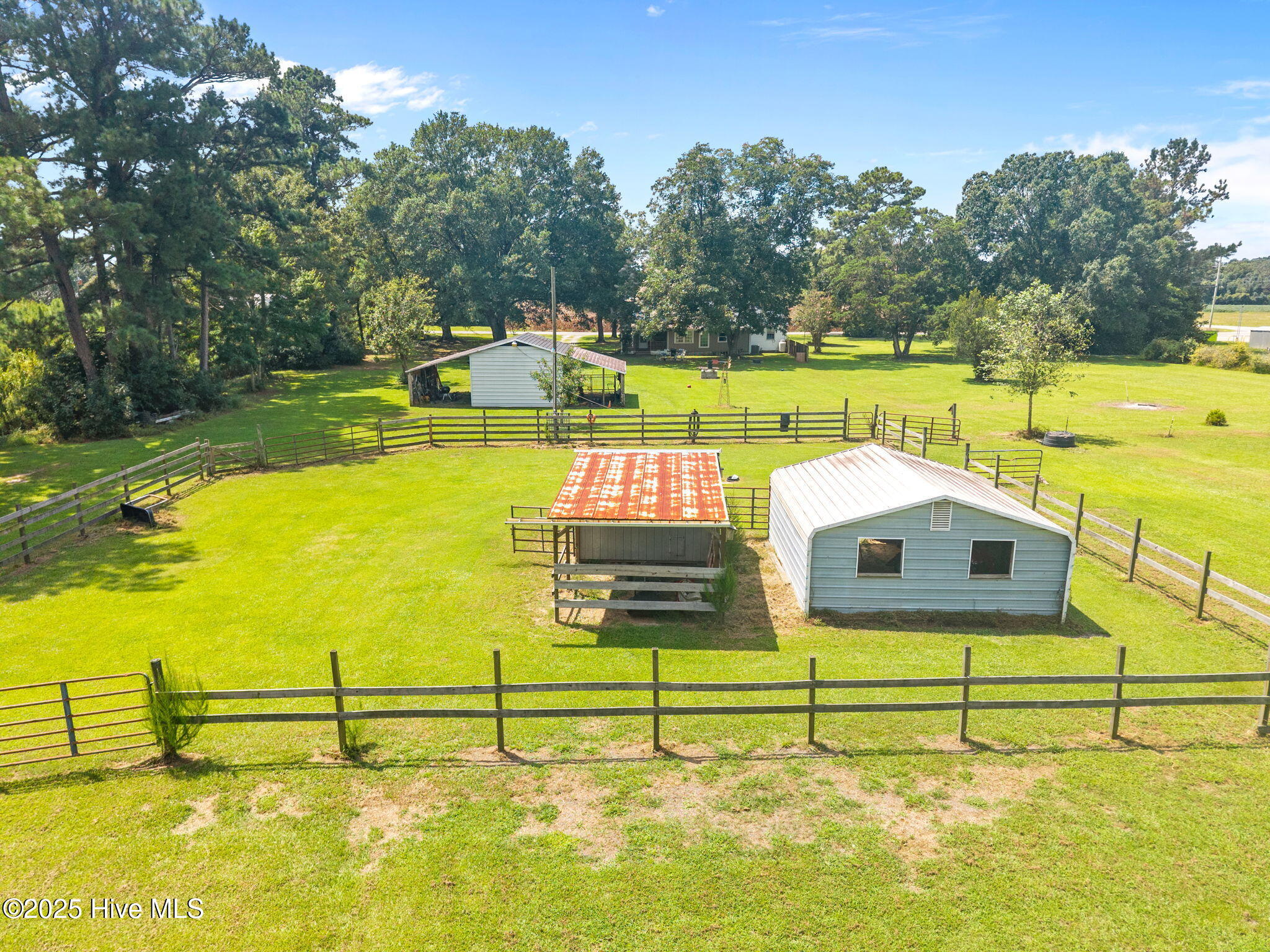 2172 Crooked Run Road Willard, NC 28478 - Photo 4 of 49 10-web-or-mls-DJI_20250825132855_0815_D