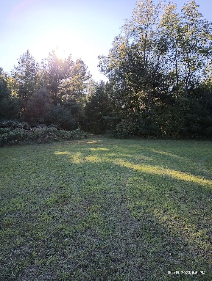 11630 Hall Road Atlanta, MI 49709 - Photo 29 of 46 IMG_20230919_175135118