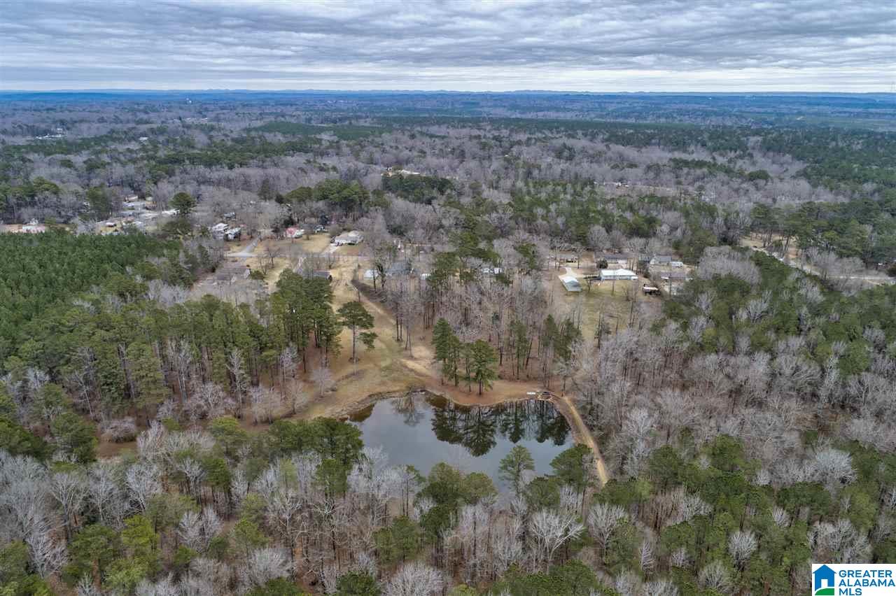 5125 Forestwood Road Adamsville, AL 35005 - Photo 29 of 42