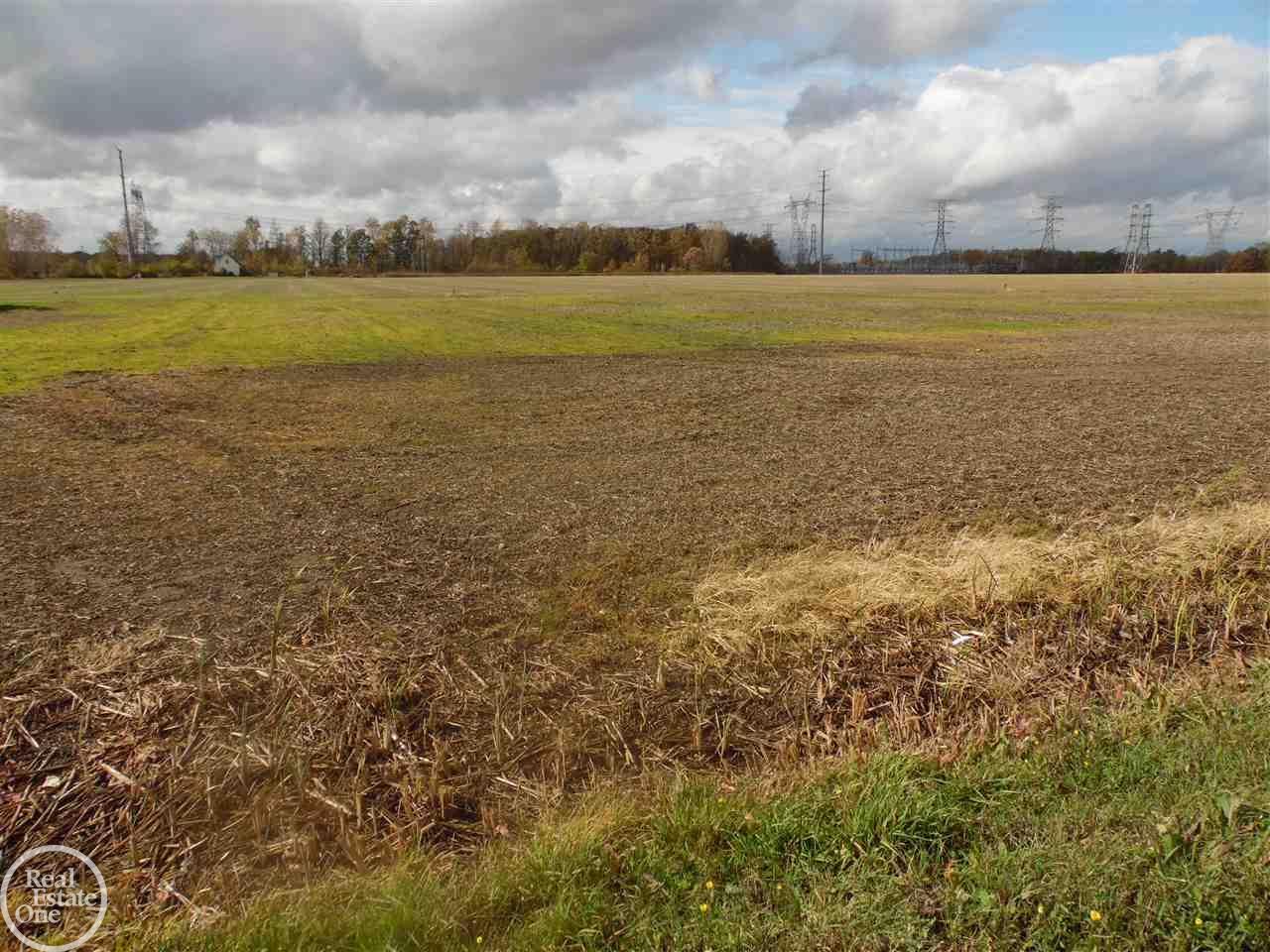 Fitz Road Goodells, MI 48027 - Photo 4 of 9
