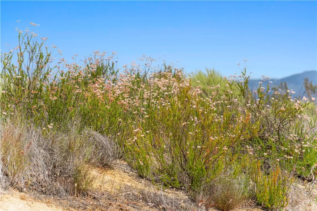 1 Gray Squirrel Road Temecula, CA 92592 - Photo 72 of 74