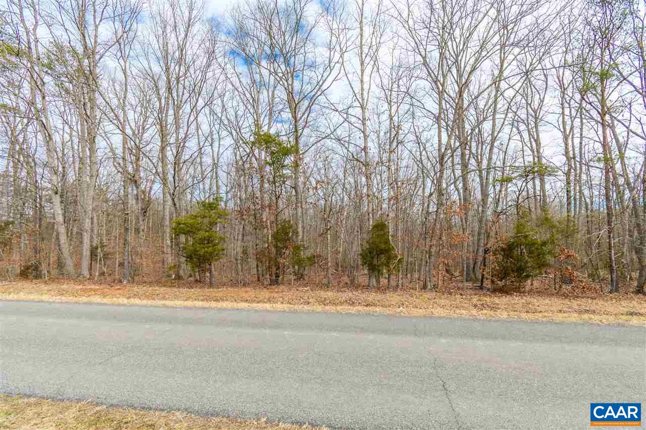 49-7 Shores Road Palmyra, VA 22963 - Photo 17 of 20 Gallery Image 17