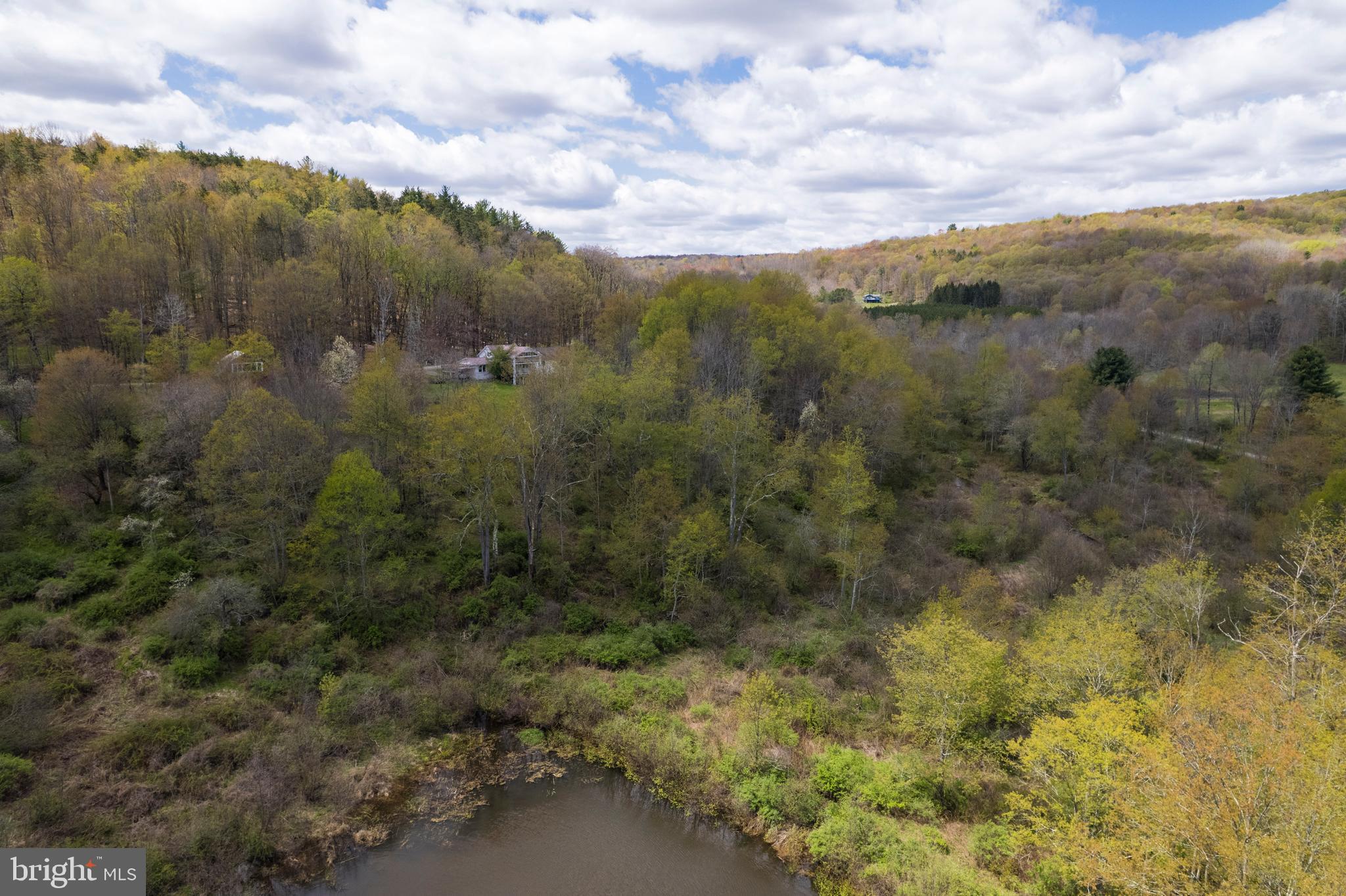 0 Holbrook Road Montrose, PA 18801 - Photo 26 of 147
