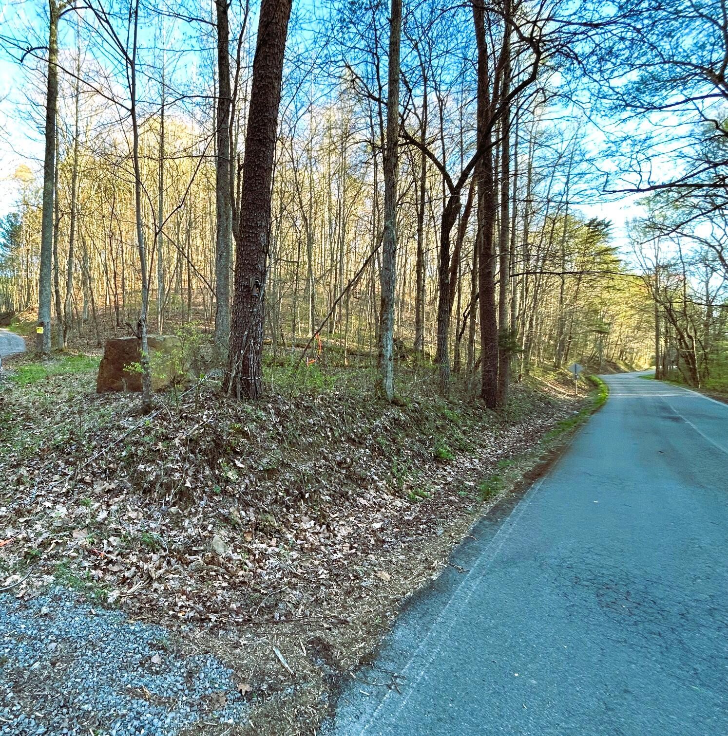 3 Southwest Owl Hollow Road McDonald, TN 37353 - Photo 2 of 9