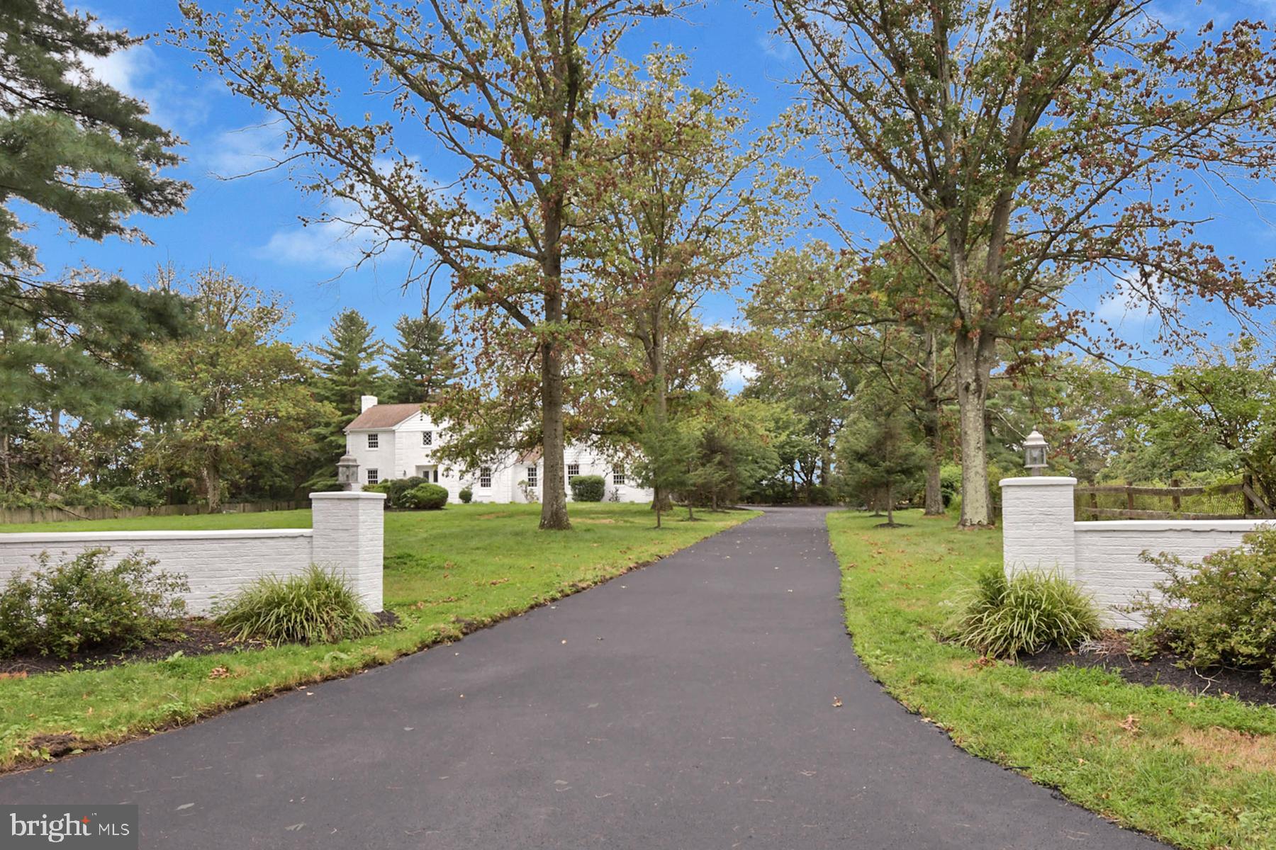 a view of a park with large trees