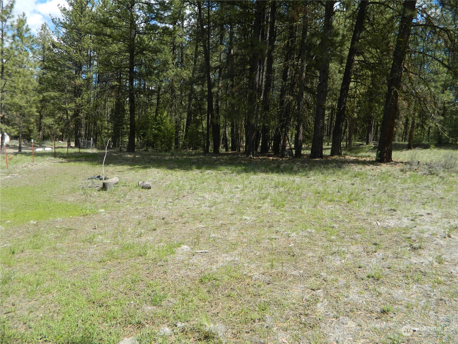 210 Main Road Tonasket, WA 98855 - Photo 19 of 39 a view of pool with trees