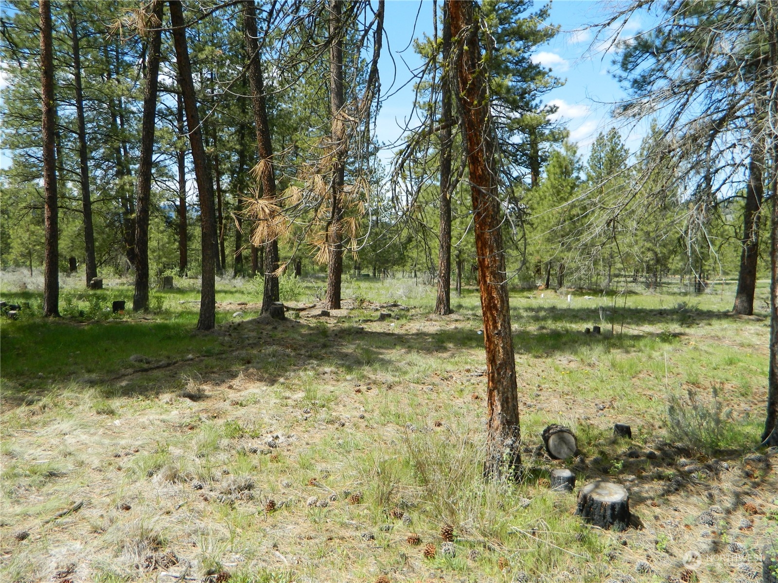 210 Main Road Tonasket, WA 98855 - Photo 27 of 39 a view of a lake view