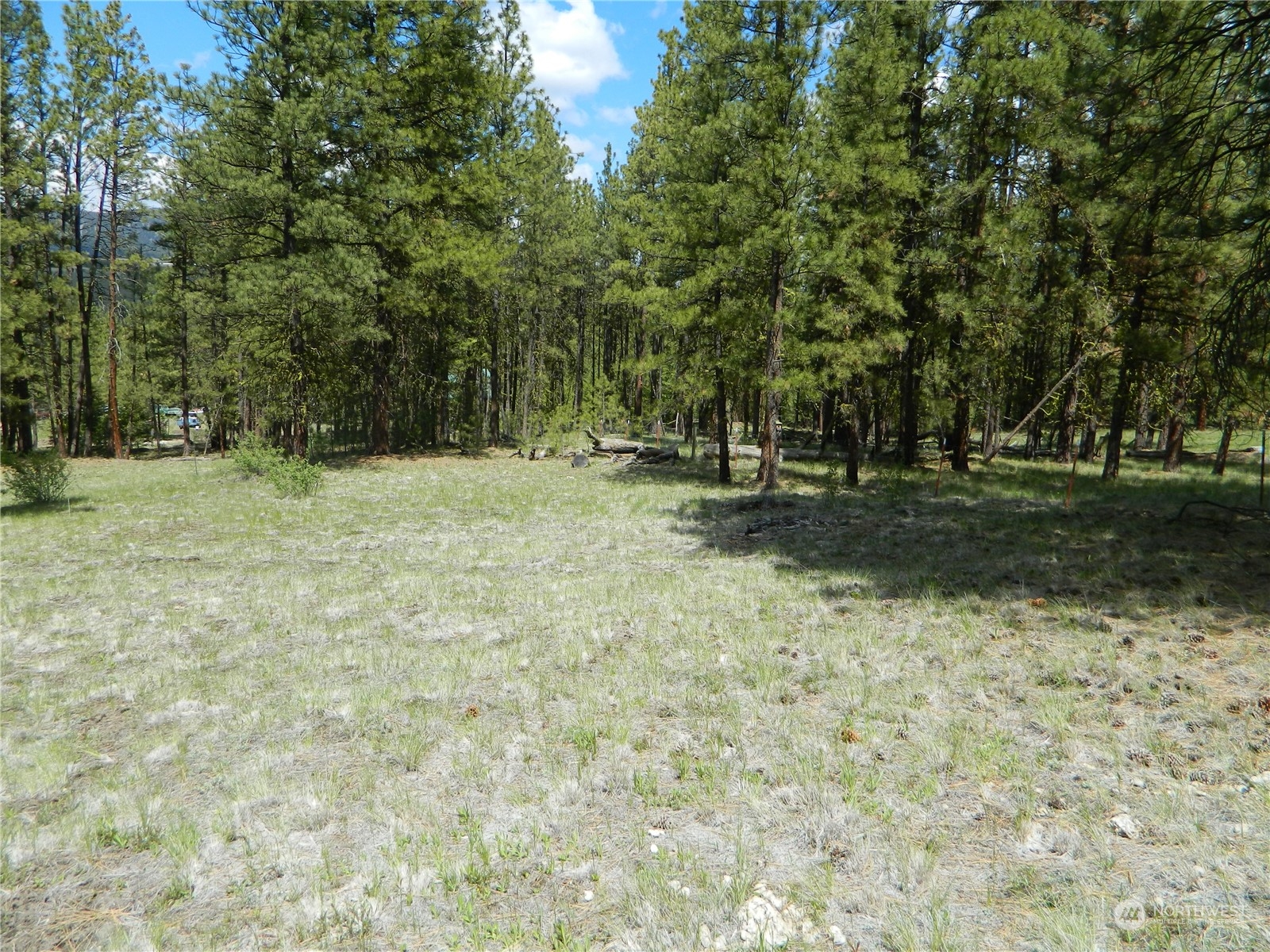 210 Main Road Tonasket, WA 98855 - Photo 33 of 39 a backyard of a house with trees