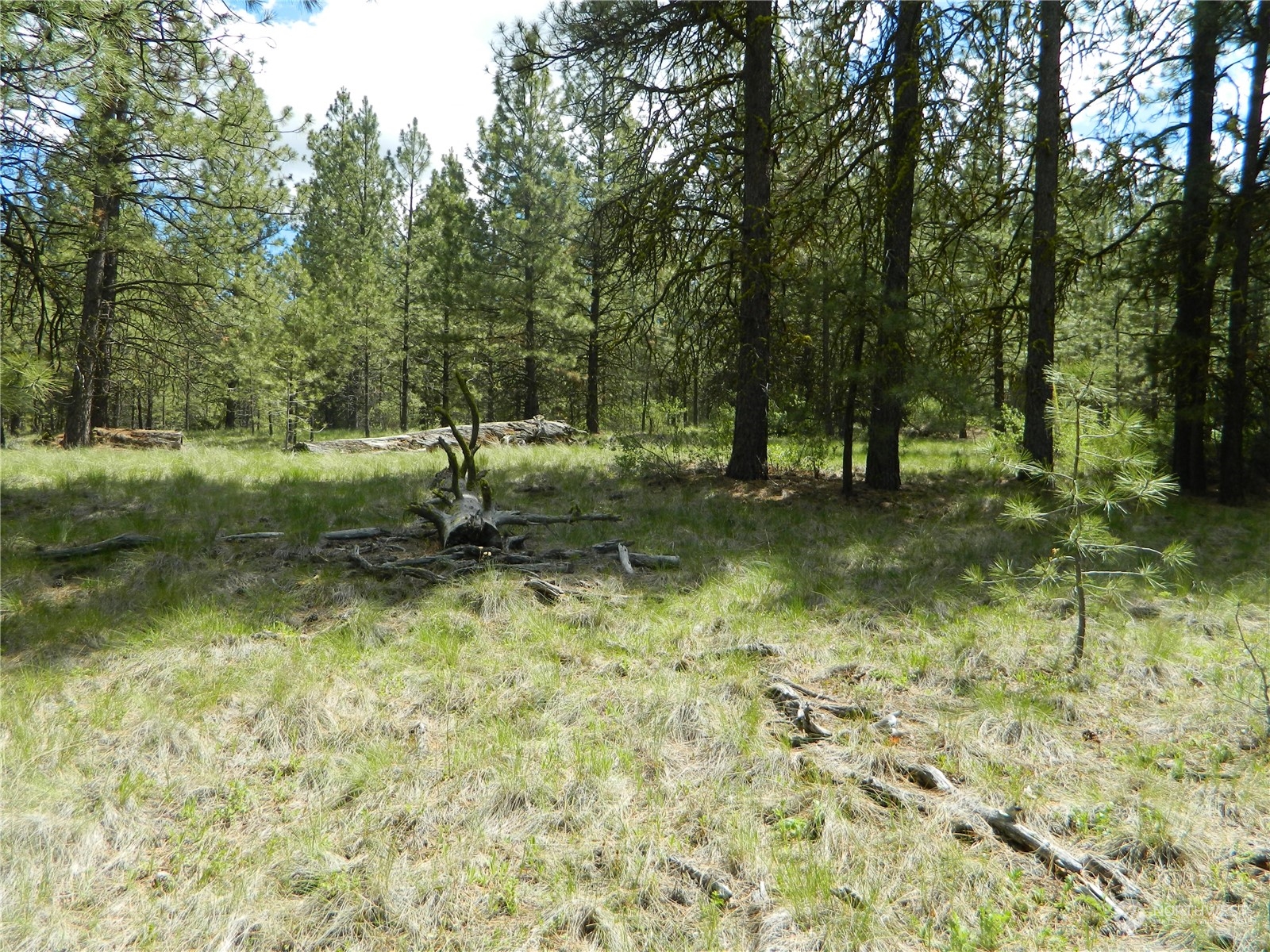 210 Main Road Tonasket, WA 98855 - Photo 36 of 39 a backyard of a house with lots of green space