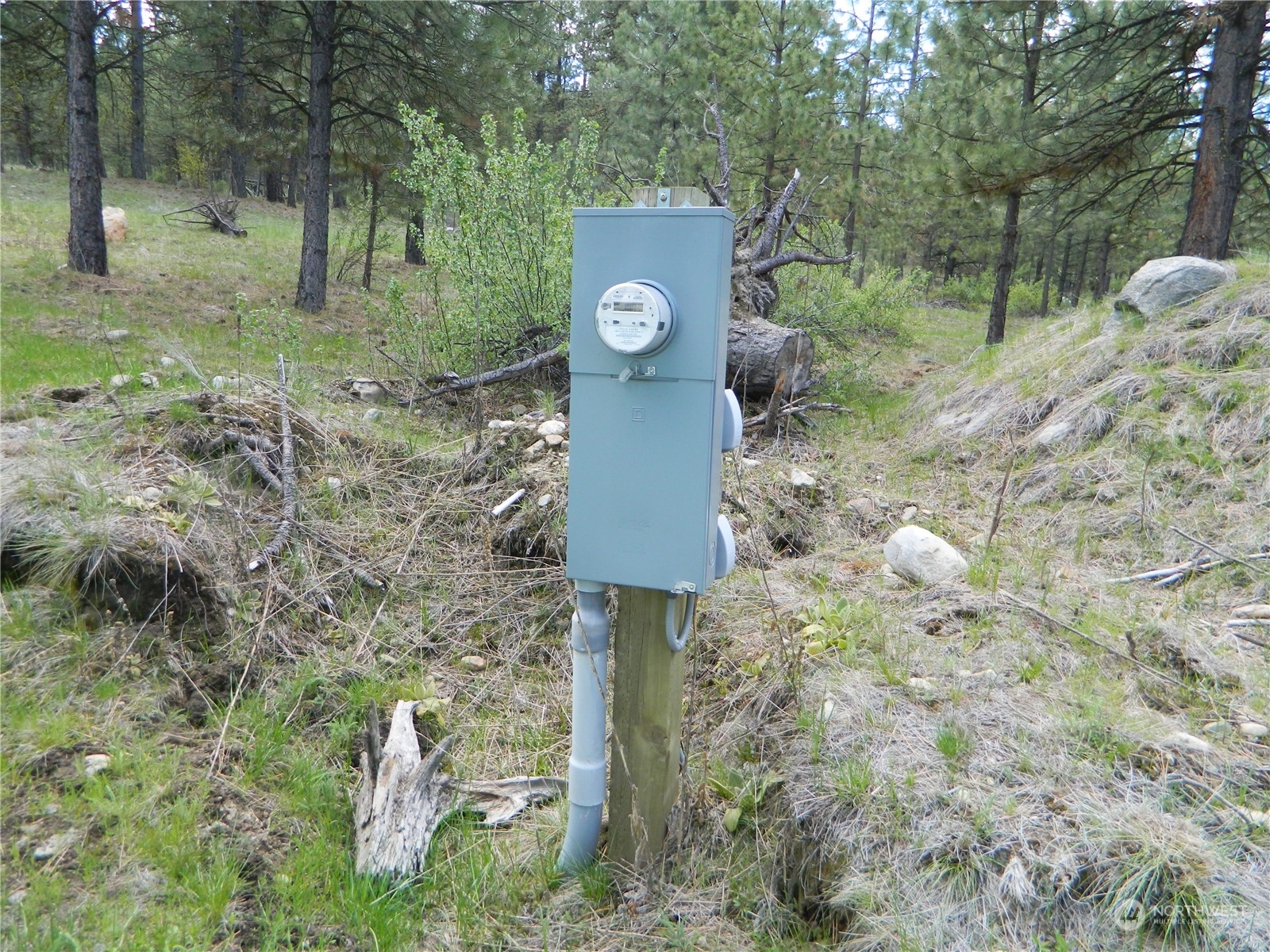 210 Main Road Tonasket, WA 98855 - Photo 7 of 39 a fire hydrant in the middle of a forest