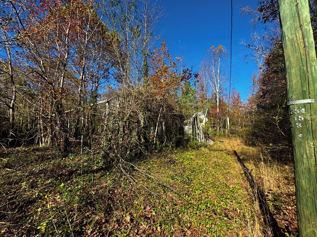 2925 West Creek Road Crewe, VA 23930 - Photo 17 of 19 Gallery Image 17