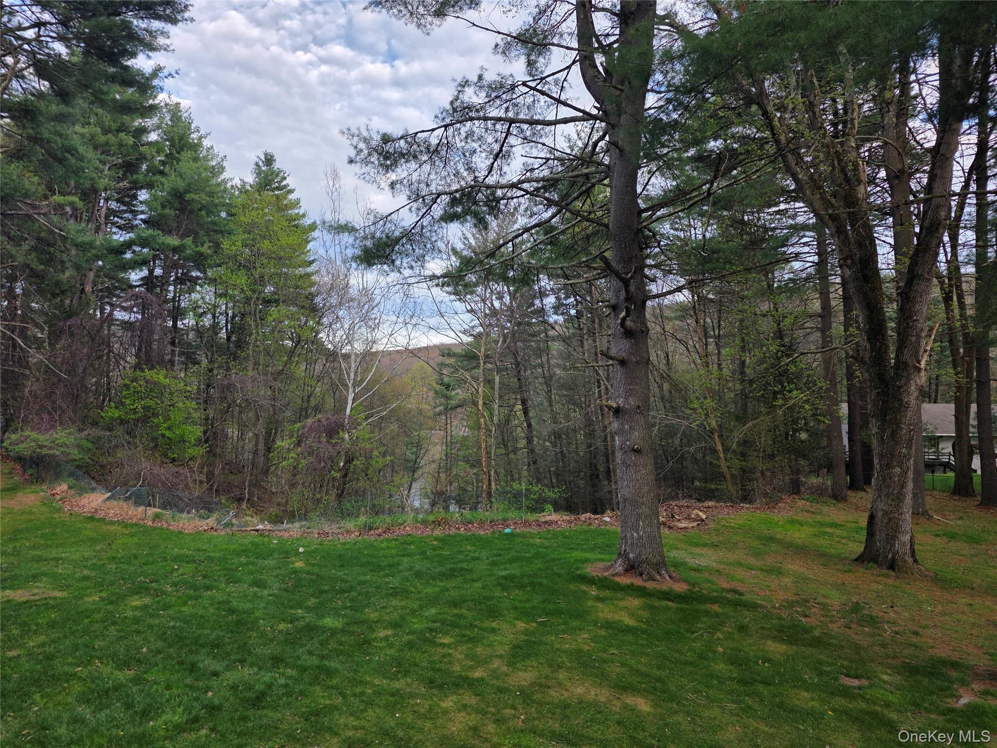 14 Andrew Paye Road Pond Eddy, NY 12770 - Photo 11 of 40