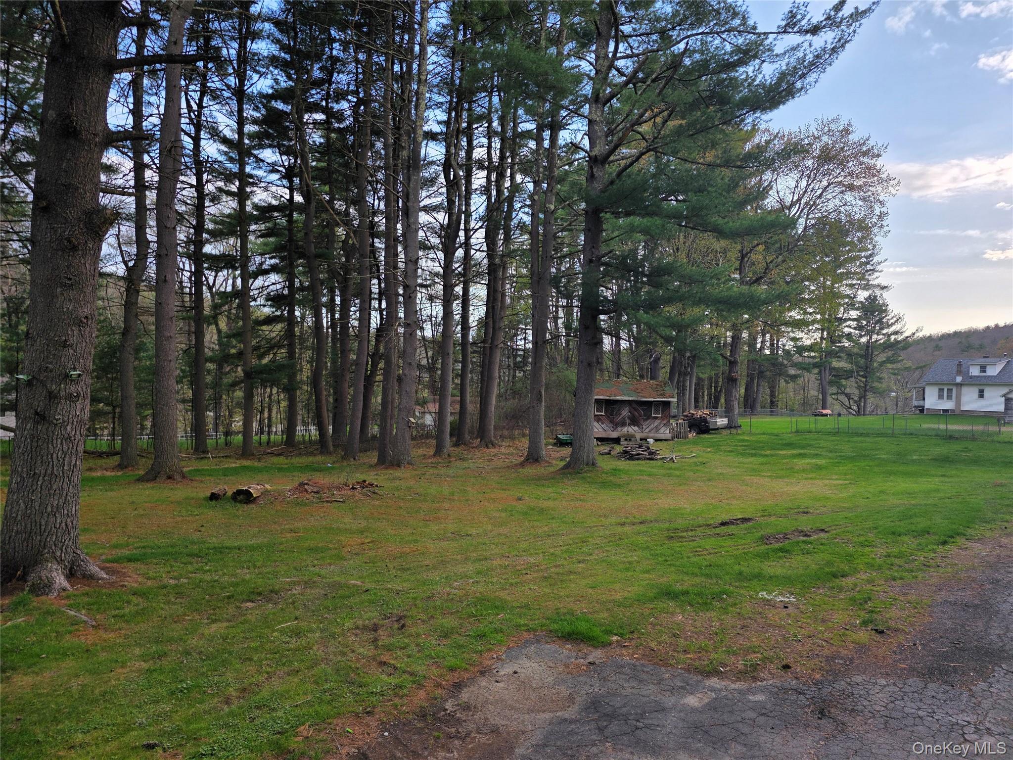 14 Andrew Paye Road Pond Eddy, NY 12770 - Photo 9 of 40