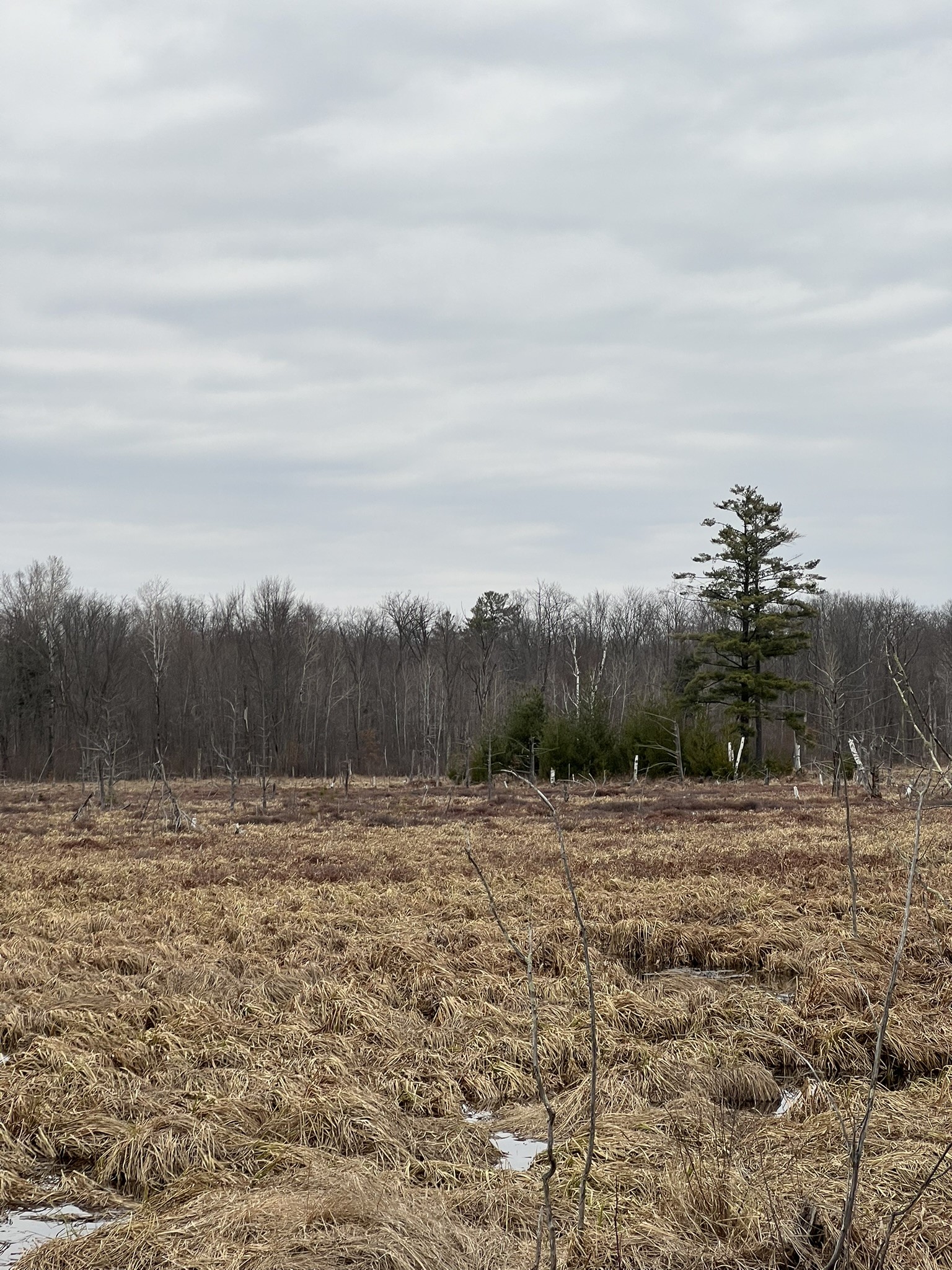 15846 Pank Road Stone Lake, WI 54876 - Photo 9 of 17