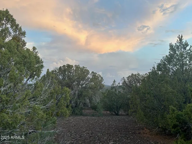 a view of a city with lush green forest