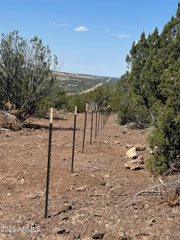 a view of outdoor space and yard