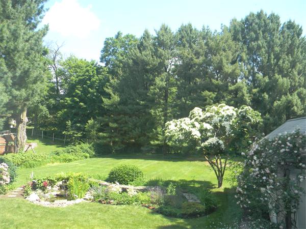 11 Leighton Road Newton, MA 02466 - Photo 6 of 27 Gallery Image 6