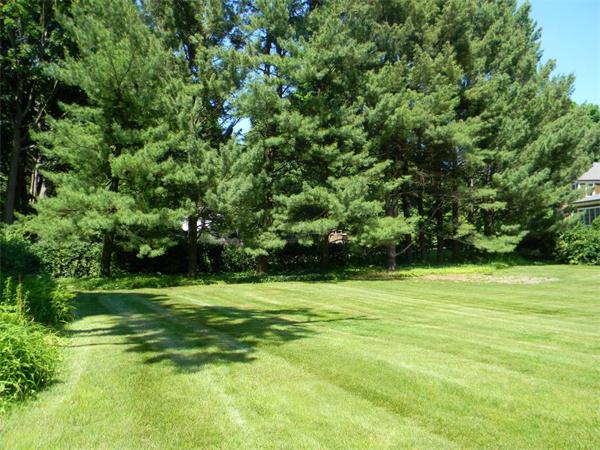 11 Leighton Road Newton, MA 02466 - Photo 7 of 27 Gallery Image 7