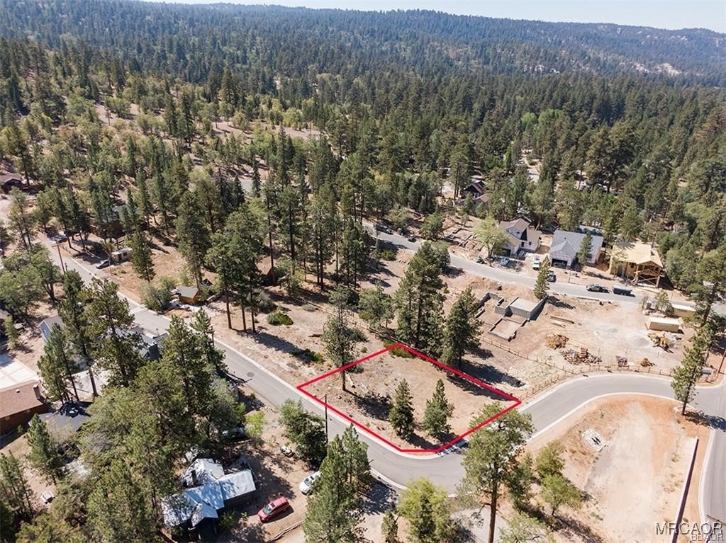 810 Talmadge Road Big Bear Lake, CA 92315 - Photo 13 of 18