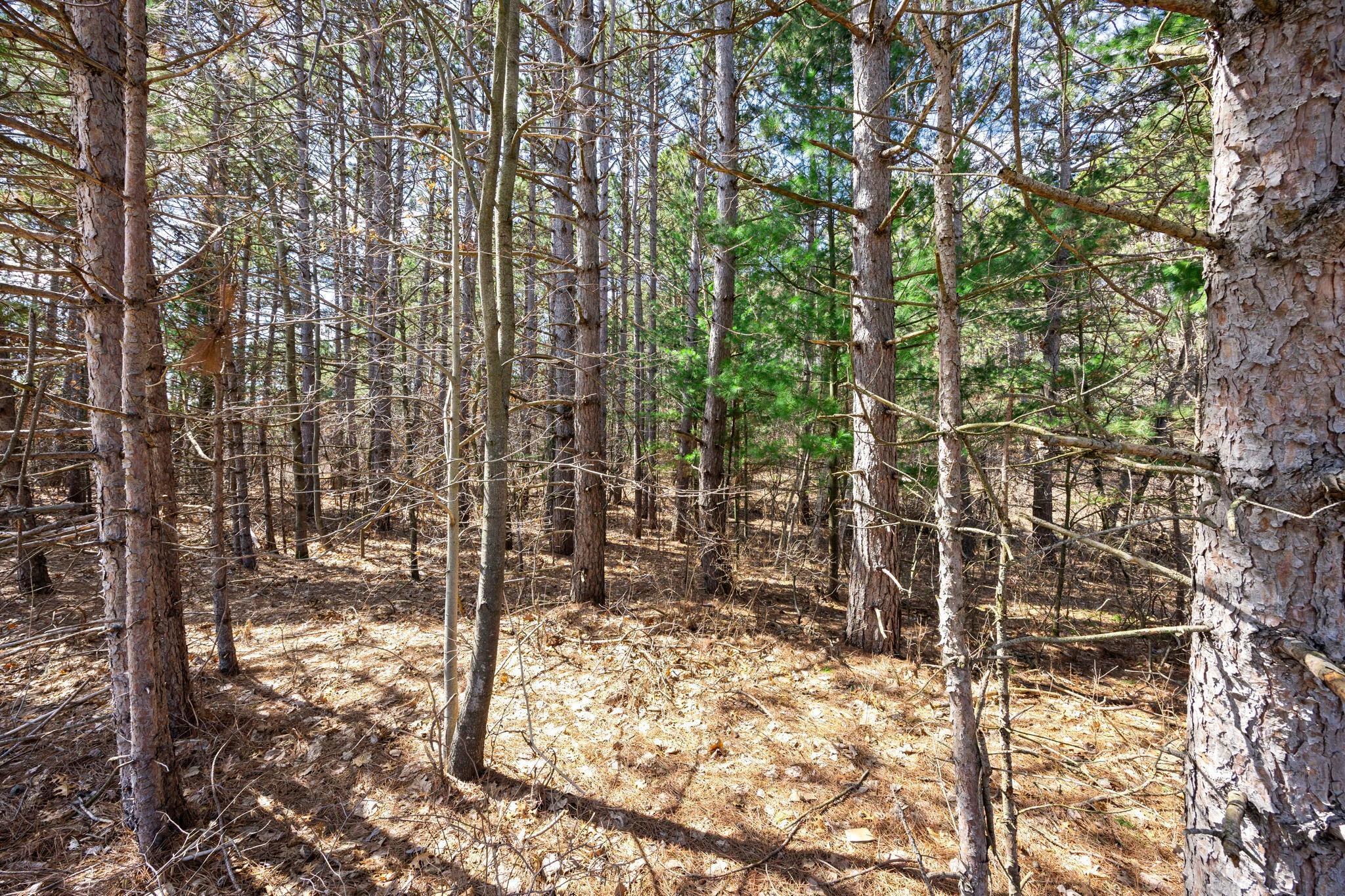Lot 3 County Rd I Somerset, WI 54025 - Photo 10 of 39