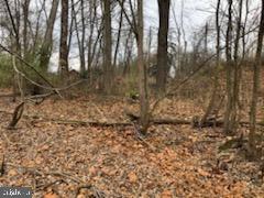 5696 Spring Road Shermans Dale, PA 17090 - Photo 2 of 11 Gallery Image 2
