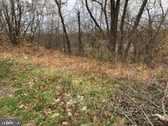 5696 Spring Road Shermans Dale, PA 17090 - Photo 6 of 11 Gallery Image 6